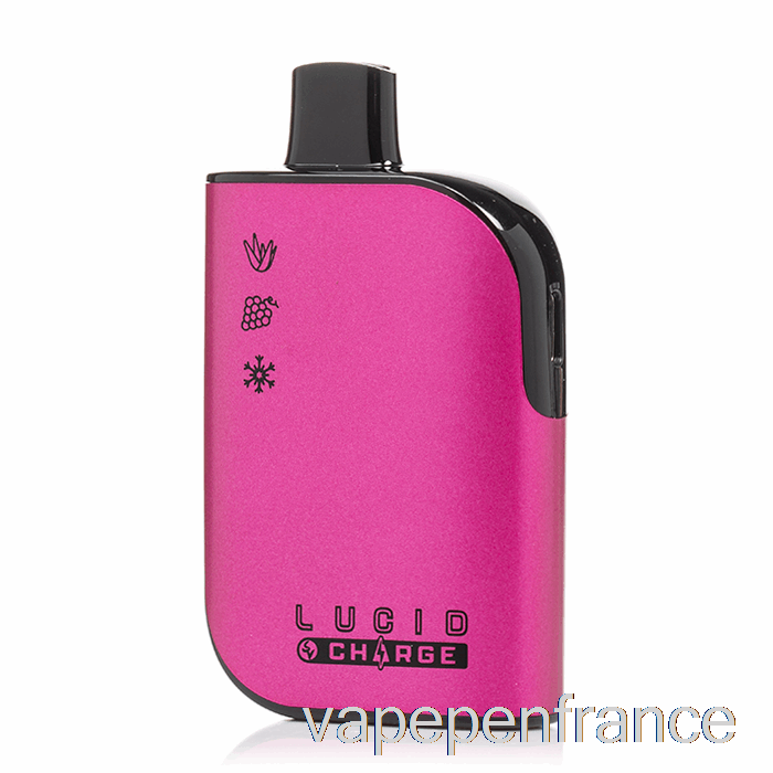 Stylo Jetable De Vape De Glace De Raisin D'aloès De Charge Lucide 7000